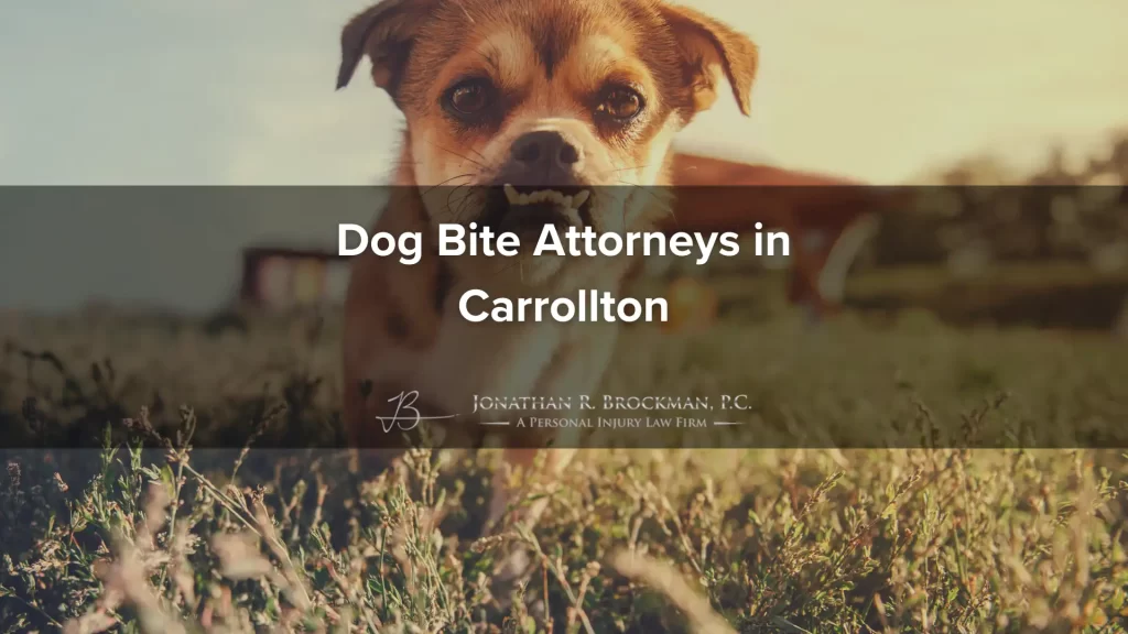 Dog bite attorneys in carrollton