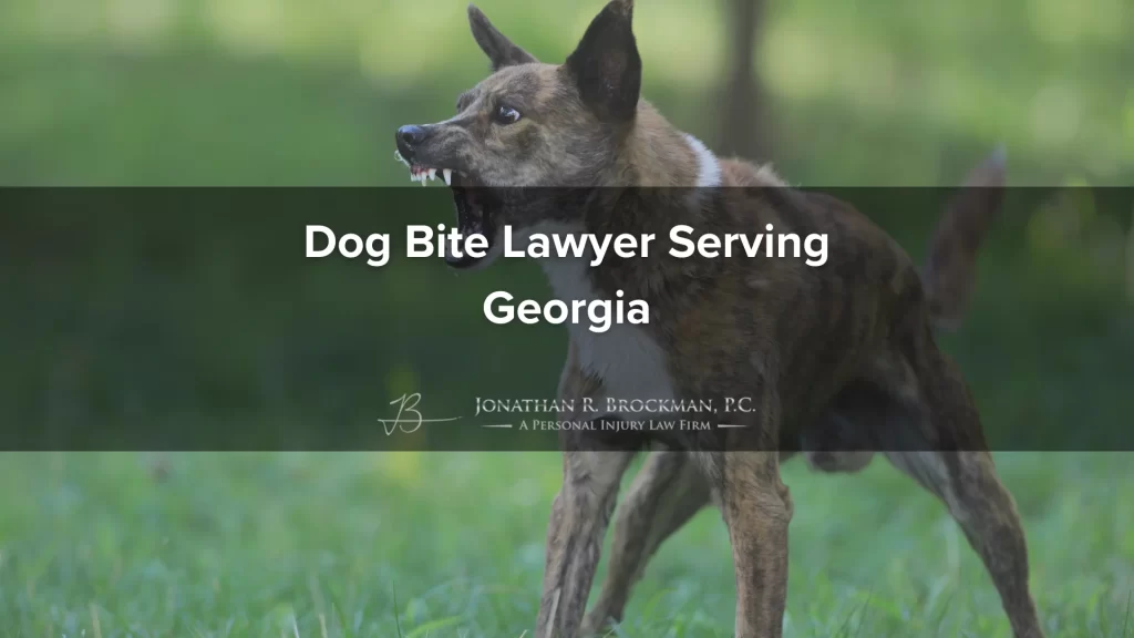 Dog bite lawyer serving georgia